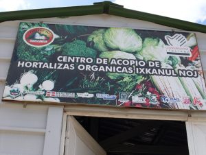 centro per gli ortaggi biologici